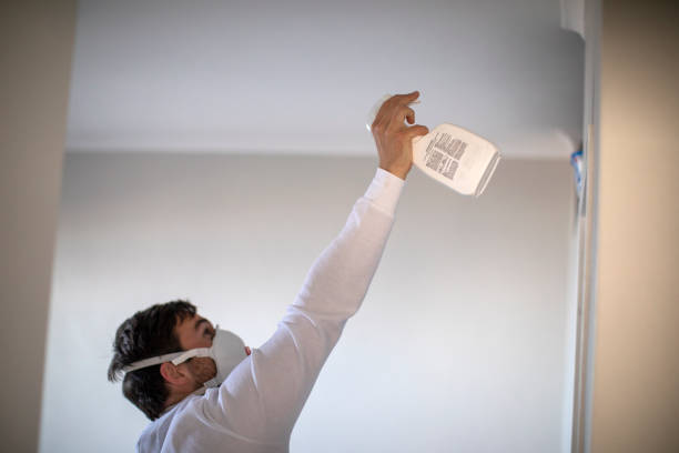 Best Professional Mold Removal  in Eaton, IN