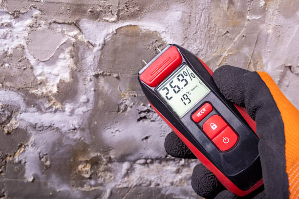 Best Black Mold Removal  in Eaton, IN