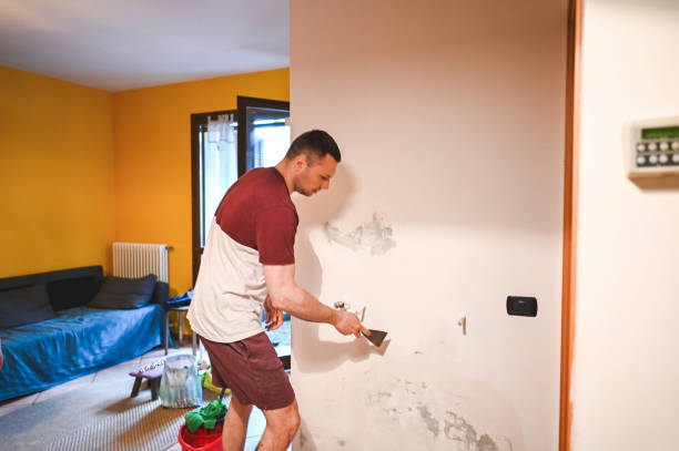 Best Local Mold Removal Service  in Eaton, IN