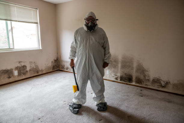 Professional Mold Removal in Eaton, IN